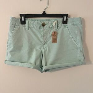 American Eagle Midi Teal Shorts